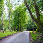 Driveway Idea Specialists in Ahoghill 6