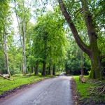 Resin Bound Paving for Drives in Fairoak 1